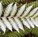 Newlands Landscaping - Builders NSW